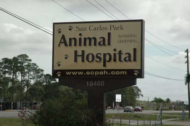 San Carlos Park Animal Hospital, Florida, Fort Myers
